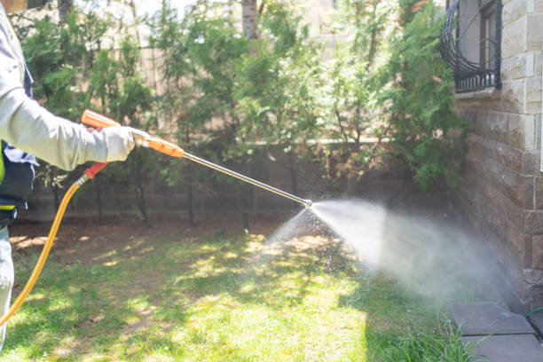 Best Fumigation Services  in Ashaway, RI